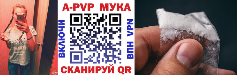 блэк спрут ссылка Нестеров Альфа ПВП СК КРИС