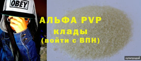 индика Медногорск