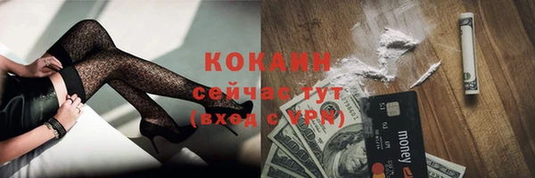 индика Медногорск