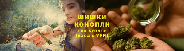 индика Медногорск