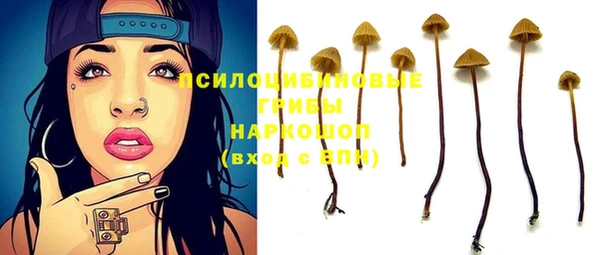 индика Медногорск