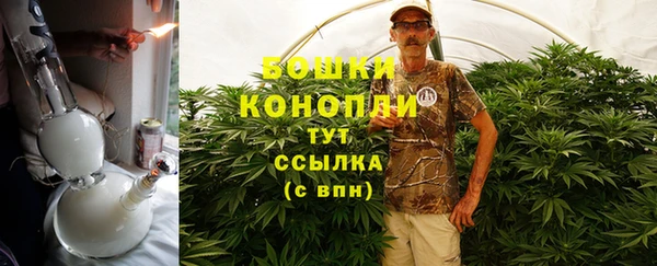 индика Медногорск