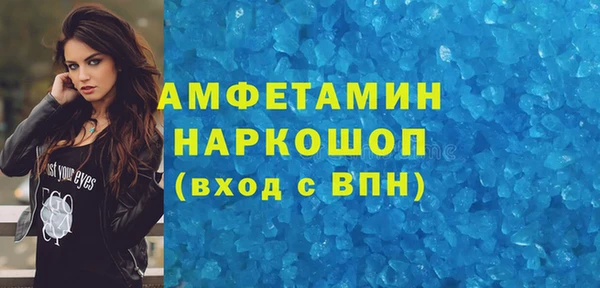 индика Медногорск