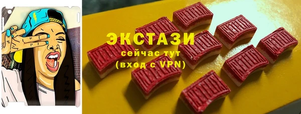 индика Медногорск