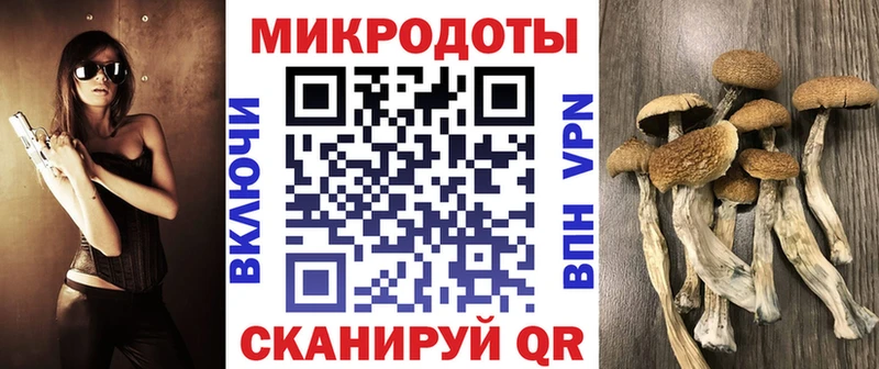 где найти наркотики  Нестеров  Галлюциногенные грибы Magic Shrooms 