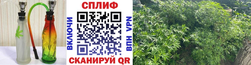 Шишки марихуана Ganja  ОМГ ОМГ tor  Нестеров 